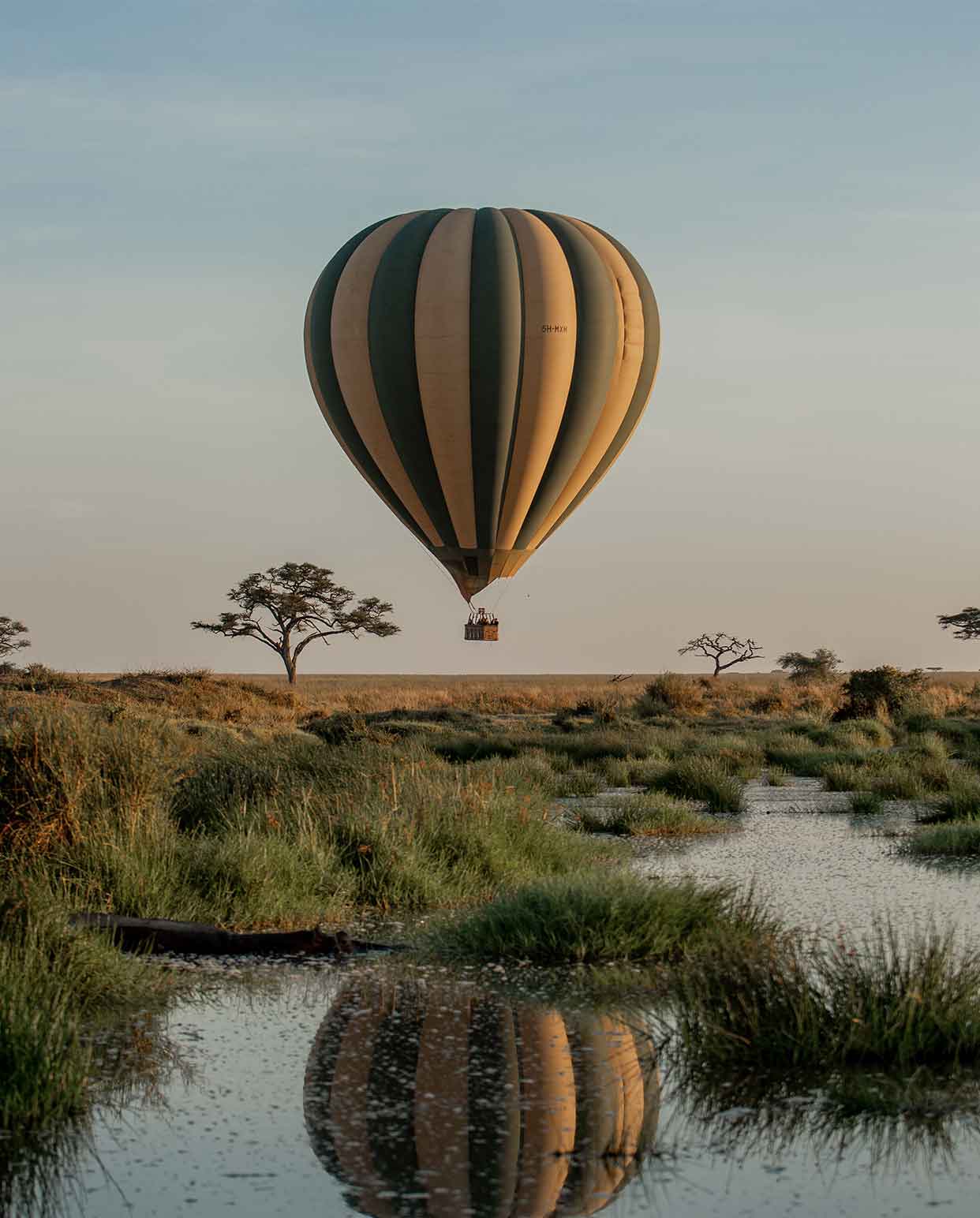 hot-air balloon flying above the Serengeti plains at sunset